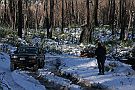 14-Cat prepares to snatch Scratchy on McFadyen Track